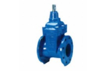 GATE VALVE RSV FLANGED 100mm T/16 CI LHC CAP TOP