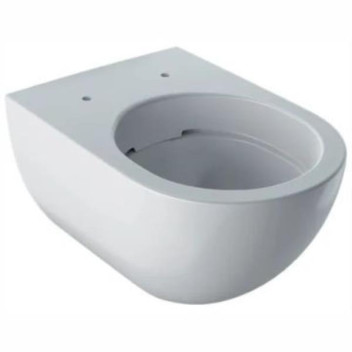 GEBERIT 500.600.01.2 ACANTO WALL HUNG RIMFREE PAN WHITE