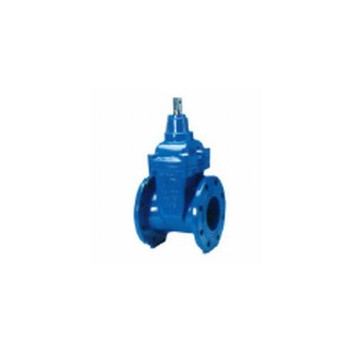 GATE VALVE RSV FLANGED 100mm T/16 CI LHC CAP TOP